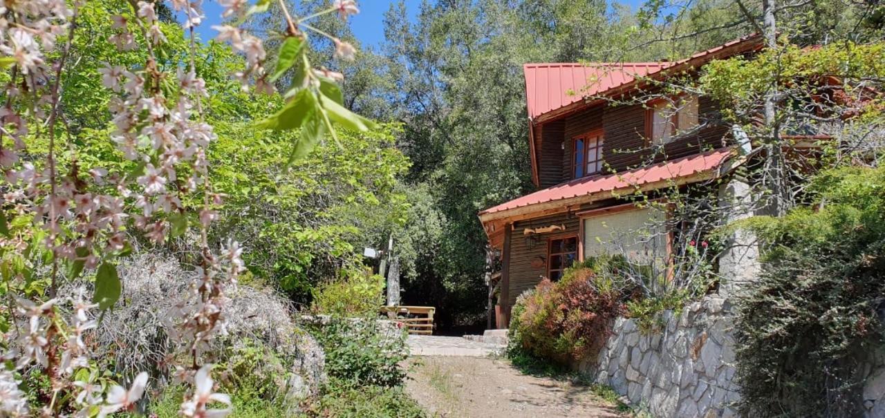 Casa De Montana Inmersa En Bosque Nativo San José de Maipo 外观 照片